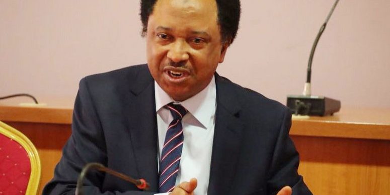 Shehu Sani Exonerates Tinubu, Faults Northern Nigeria’s Past Leaders Tinubu not responsible for problems confronting North -- Shehu Sani — Daily Nigerian