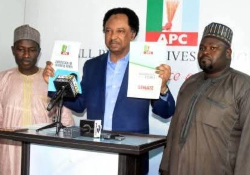 2027: Shehu Sani picks APC nomination form to return to Senate