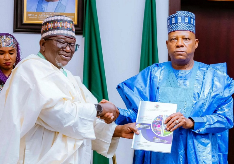Tinubu’s bold policies in interest of Nigerians – Shettima — Daily Nigerian