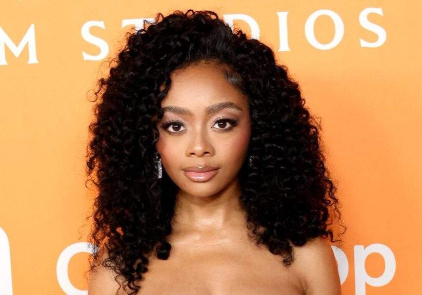 Skai Jackson Avoids Question About Domestic Battery Arrest on TikTok Skai Jackson Avoids Question About Domestic Battery Arrest on TikTok