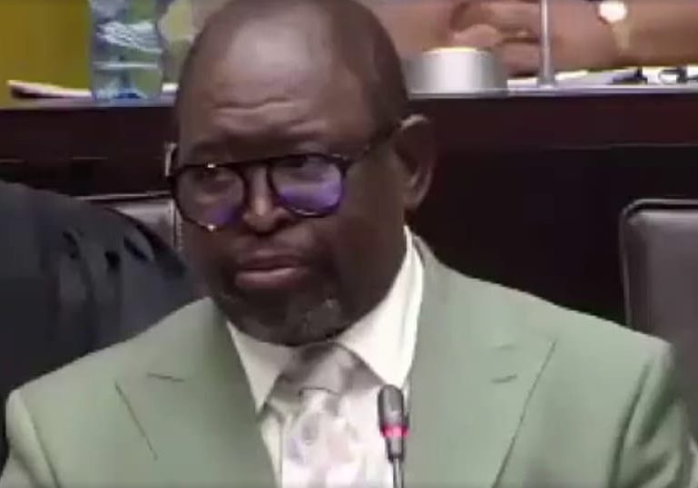 South Africa's finance minister slams Trump's genocide claims ahead of G20