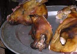 South Korea to ban consumption of dog meat — Daily South Korea to ban consumption of dog meat — Daily