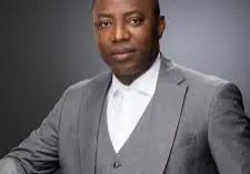 'Fool at 40' - Sowore attacks Amaechi over comment on ending corruption in one month