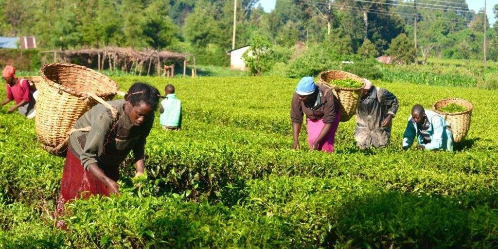 Stakeholders frown at N363bn allocated to agriculture in 2024 budget Stakeholders frown at N363bn allocated to agriculture in 2024 budget