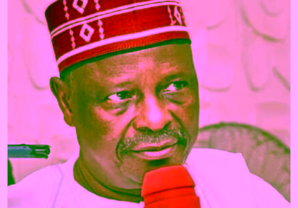 Stop claiming membership of our party – NNPP warns Kwankwasiyya, TNM