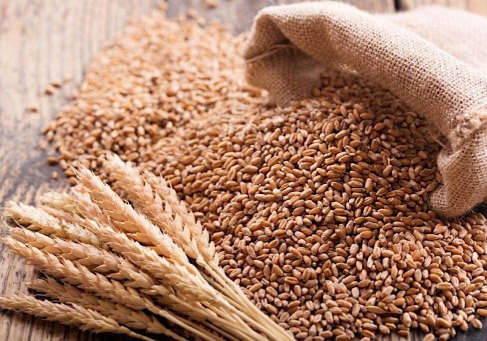 Supply to firm up as Ukraine sends 25000 tonnes of Supply to firm up as Ukraine sends 25000 tonnes of