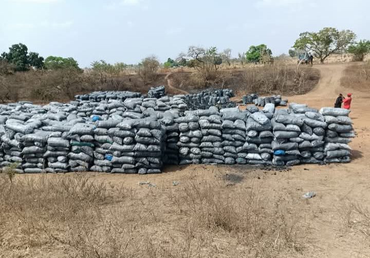 Taskforce uncovers charcoal depot, illegal deforestation in Taraba Taskforce uncovers charcoal depot, illegal deforestation in Taraba