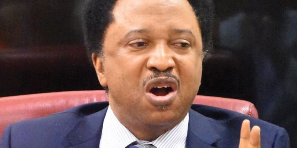 Terrorism: It's unfair - Shehu Sani condemns Nnamdi Kanu's prolonged detention, trial