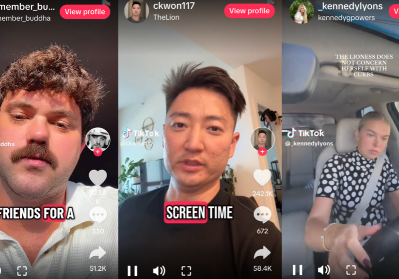 TikTok Lion Meme Explodes with Hilarious Concerns 'The lion doesn't concern himself with...' TikTok trend sends up 'Game of Thrones' quote