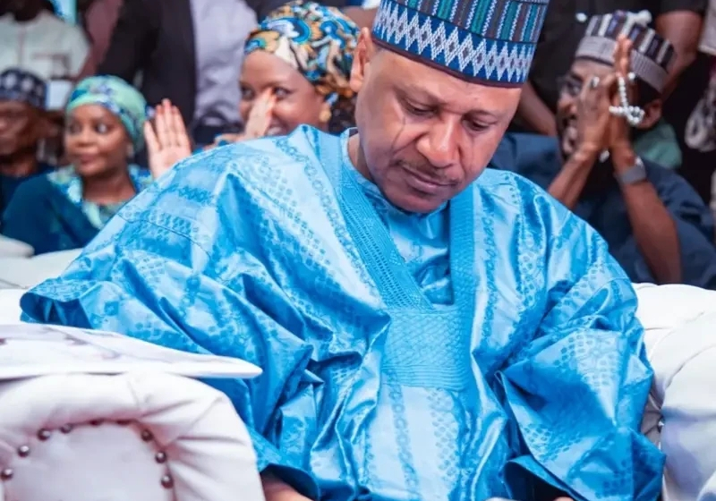 Tinubu to initiate more projects in North -- Information Minister — Daily Nigerian