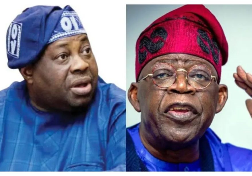 Tinubu'll do anything to exterminate opposition in Nigeria - Dele Momodu