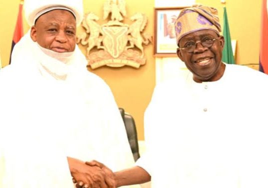 Tinubu hosts Sultan on religious harmony, national cohesion — Daily Nigerian