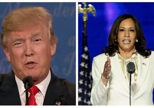 Trump Attacks Kamala Harris' Identity, Says She "Turned Black" for