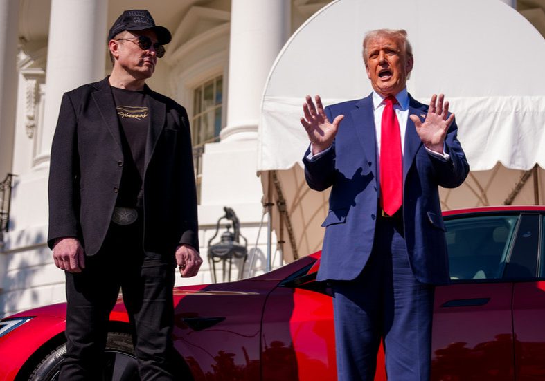 Trump says DOGE should investigate Musk — RT World News