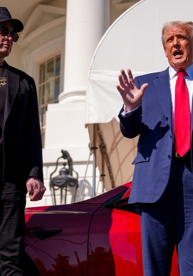 Trump says DOGE should investigate Musk — RT World News