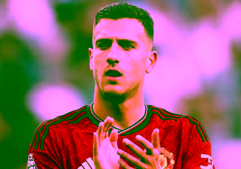 UNL: Diogo Dalot opens up on Cristiano Ronaldo's connection with Portugal players