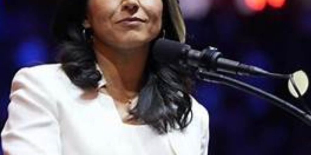 US Senate confirms Tulsi Gabbard as Trump's spy chief US Senate confirms Tulsi Gabbard as Trump's spy chief