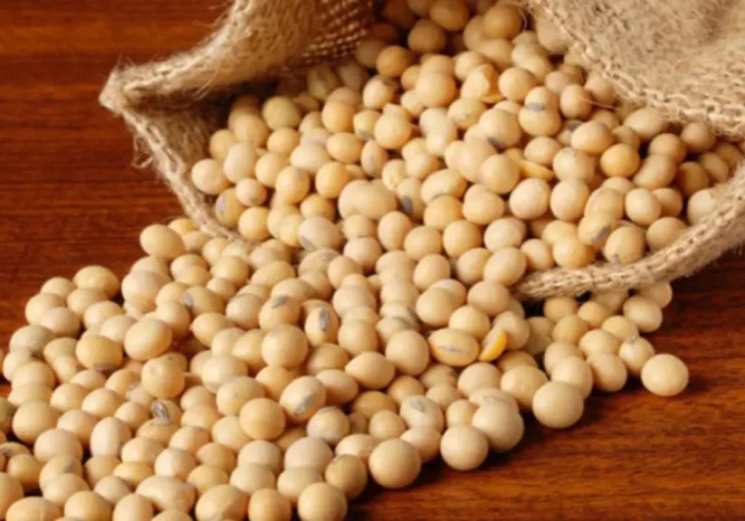 American Soybean Association expands investment to boost US-Nigeria ties in aquaculture