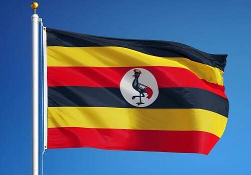 Uganda Police Uncover 17 Human Skulls in Metal Boxes at