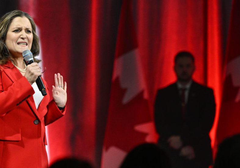 Canada-born descendant of Nazi collaborator quits posts to advise Ukraine — RT World News