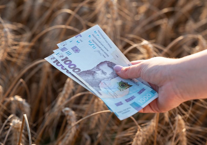 IMF pushes Kiev to weaken currency – Bloomberg — RT Business News