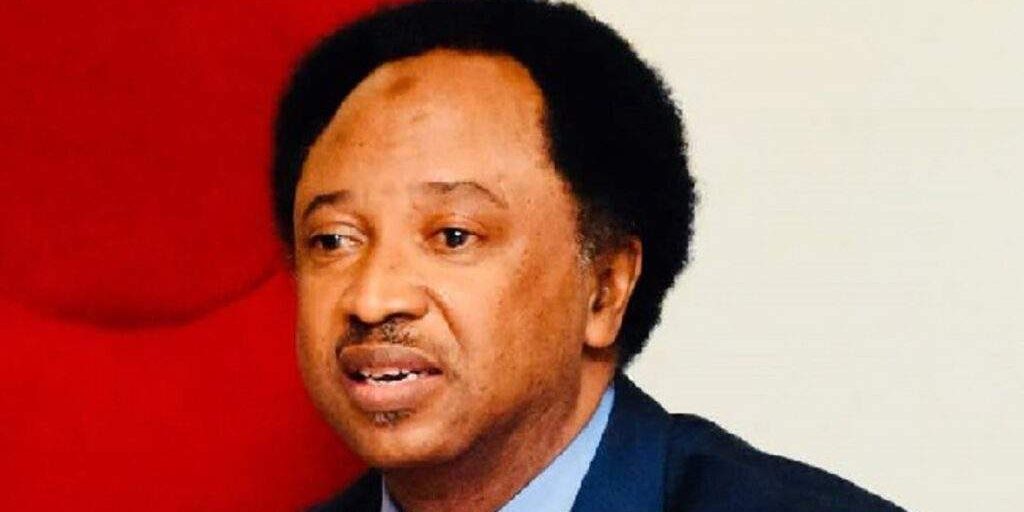Unacceptable Shehu Sani on Islamic clerics comment about Tinubus