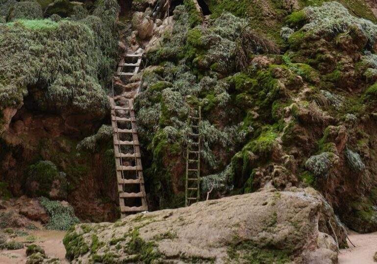 Unlocking the Symbolism Dreaming About a Ladder and Its Meanings
