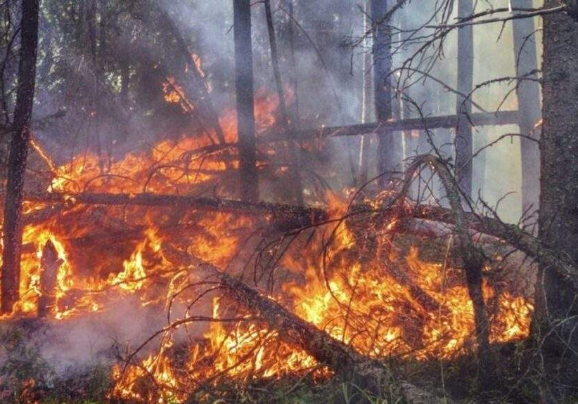 Unprecedented Warning Global Heat Records Shattered Urgent Call for Action Unprecedented Warning Global Heat Records Shattered Urgent Call for Action