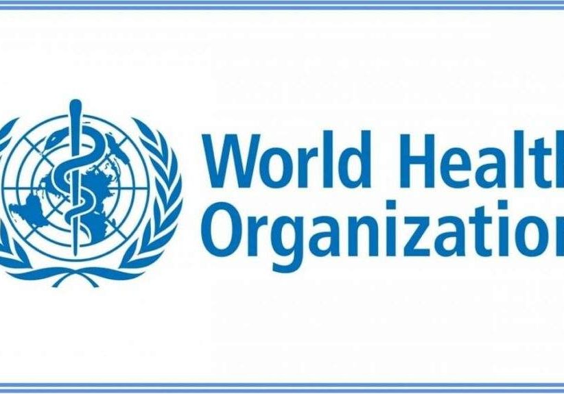 WHO raises alarm on increase in dengue infections