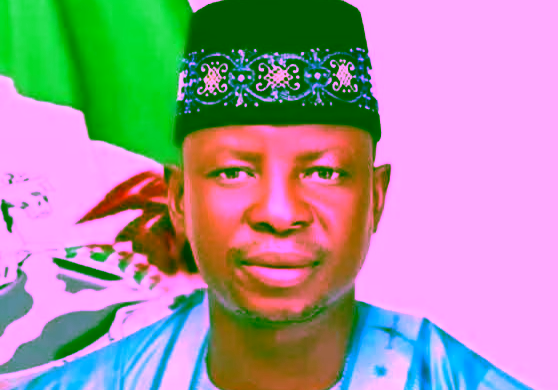 Wali Adamu, acting Shira chairman, passes away before LGA by-election Wali Adamu, acting Shira chairman, passes away before LGA by-election