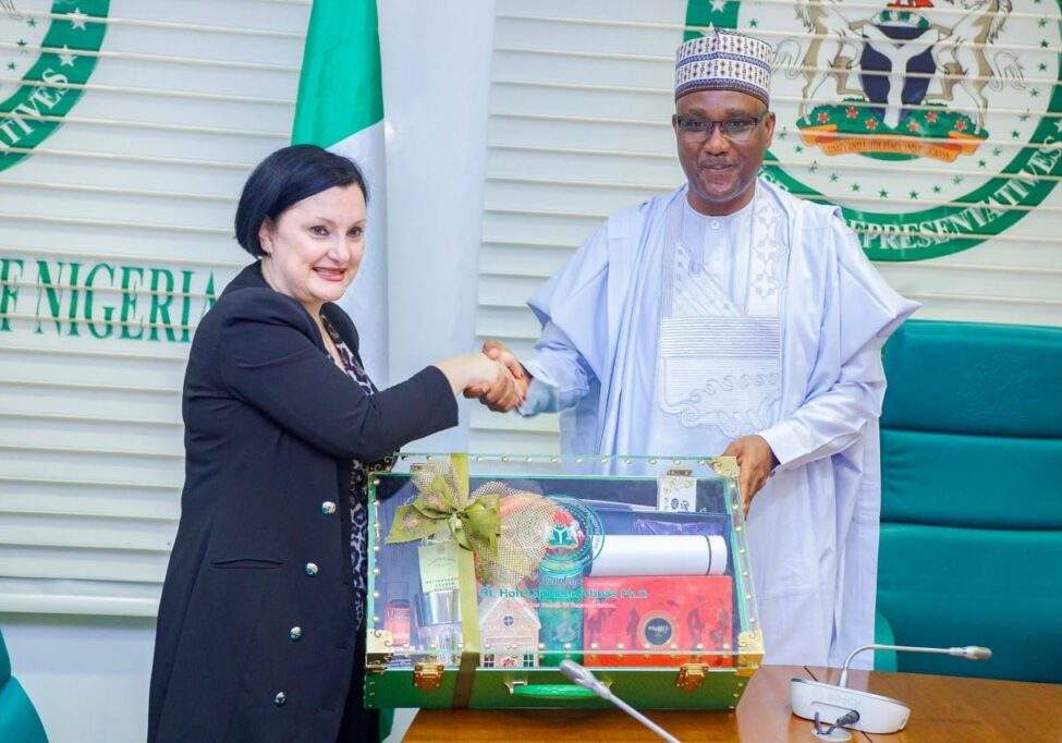 Well review Electoral Act for better conduct of 2027 elections
