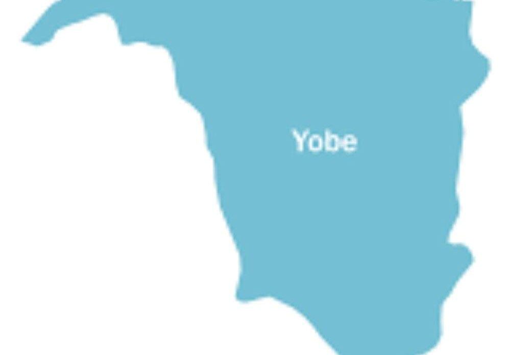 YBSIEC announces new date for LG elections