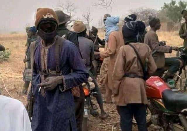 Bandits reportedly kill 38 villagers after collecting N50m ransom in Zamfara — Daily Nigerian