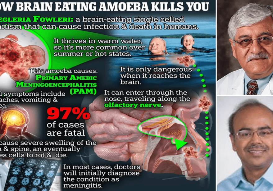ameoba