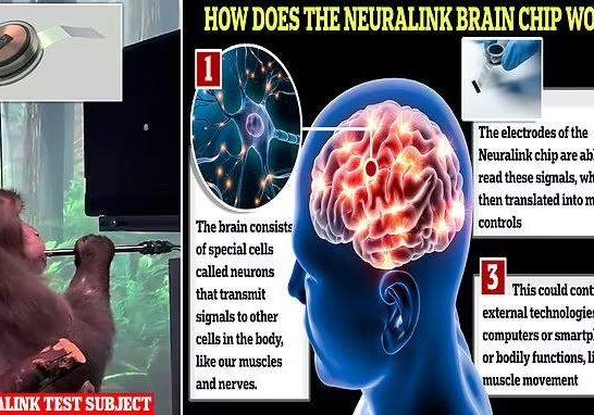 brain chip brain chip