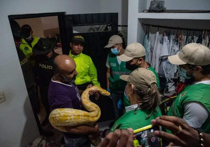 colombia