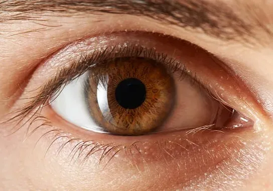eye eye