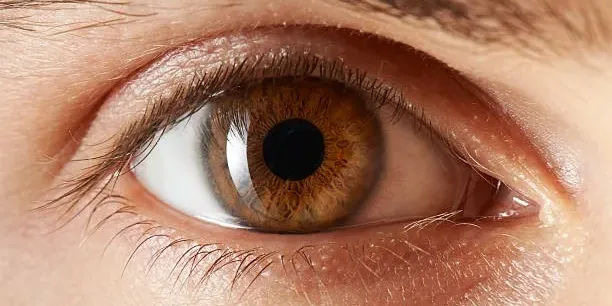 eye eye