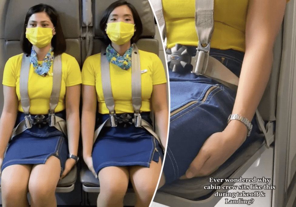 flight attendant flight attendant