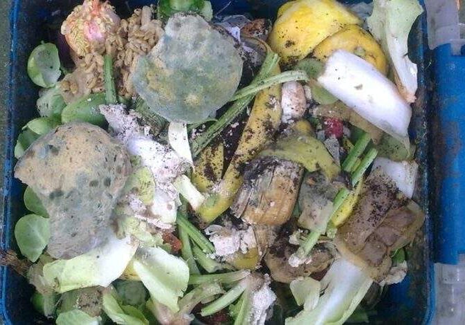 food waste food waste