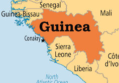 guinea 2 guinea 2
