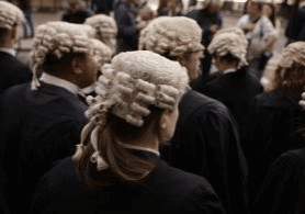 lawyers lawyers