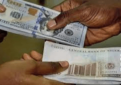 naira gains naira gains