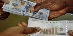naira gains naira gains