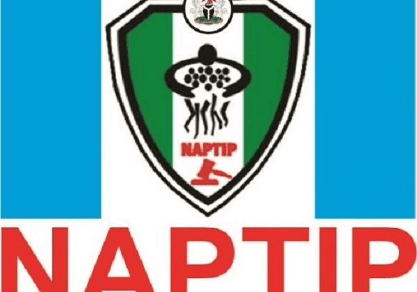 naptp naptp