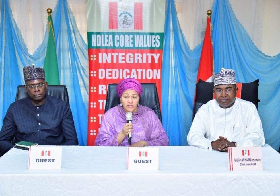 ndlea amina