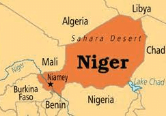 niger niger