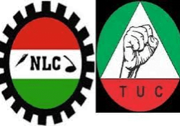 nlc 1 nlc 1