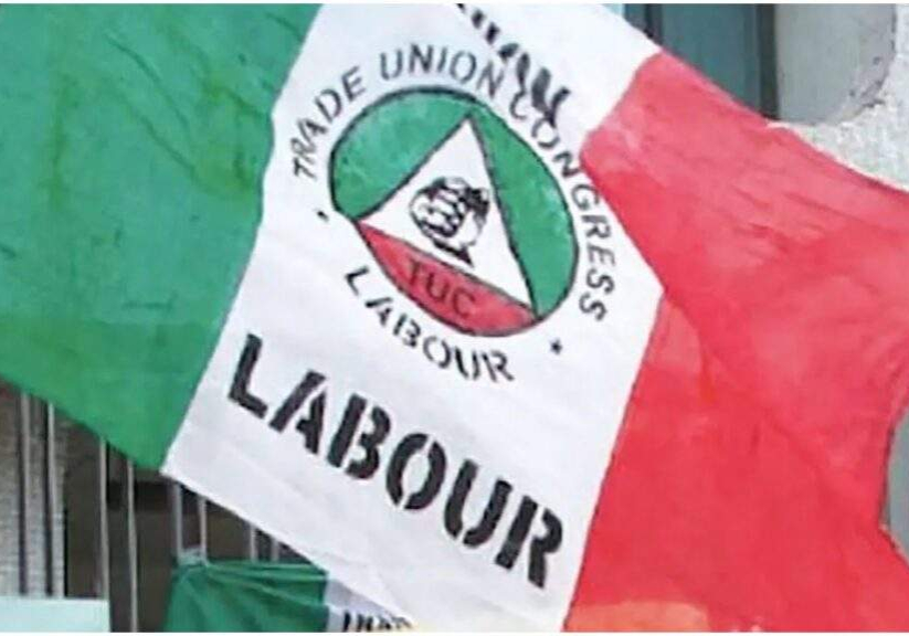 nlc nlc