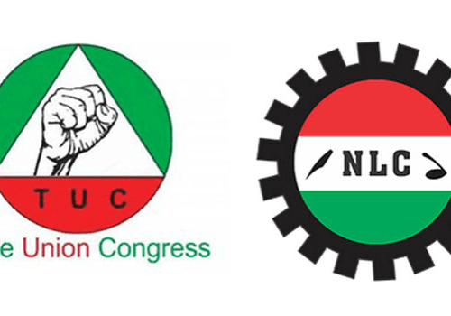 nlc tuc nlc tuc